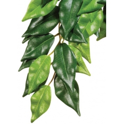 EXO TERRA roślina wisząca Fikus 55cm