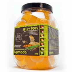 Komodo Jelly Pot Mango Jar - pokarm mango w żelu 60szt.