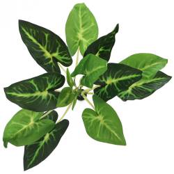 Bello Plant - Devil's Ivy - roślina XL do obrazów 3D