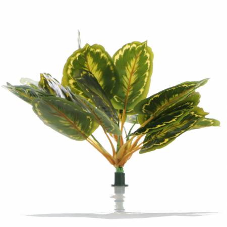 Bello Plant - Calathea Multi - roślina XXL do obrazów 3D