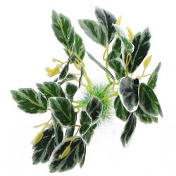 Bello Plant - Frozen Bloom - roślina L do obrazów 3D