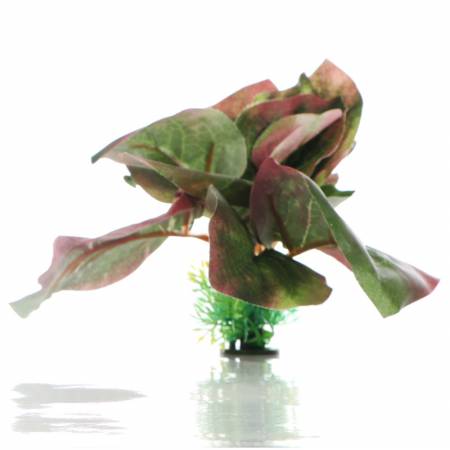 Bello Plant - Autumn Oil Tree - roślina M do obrazów 3D