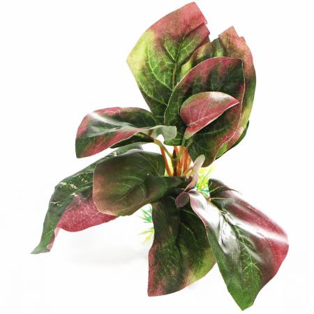Bello Plant - Autumn Oil Tree - roślina M do obrazów 3D