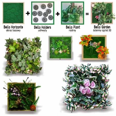 Bello Plant - Brasil's Bicolor - roślina M do obrazów 3D