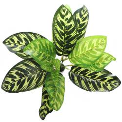 Bello Plant - Fishbone - roślina XL do obrazów 3D