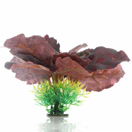 Bello Plant - Deep Purple Hydrangea - roślina M do obrazów 3D