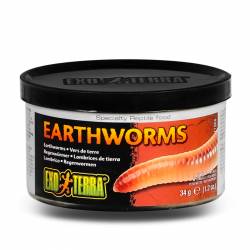 EXO TERRA Earthworms - pokarm w puszce dżdżownice