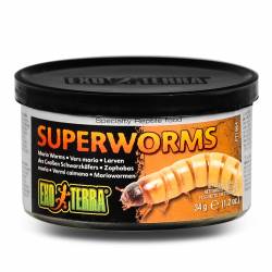 EXO TERRA Superworms - pokarm w puszce drewnojady