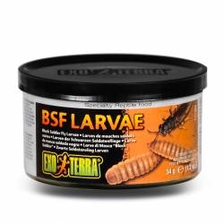 EXO TERRA Larvae - pokarm w puszce larwy